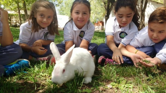 1er Año CMB Arte Rural - Visita a los conejos