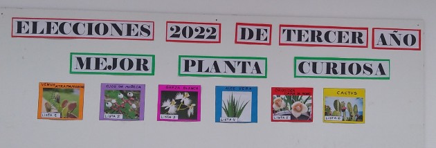 Elecciones 2022 de Tercer año: Mejor planta curiosa