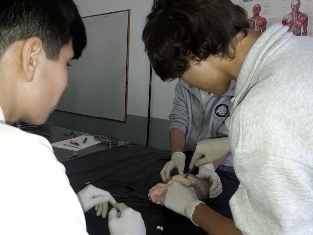 4to. ESA Prácticas en Biología 4to. ESA Prácticas en Biología