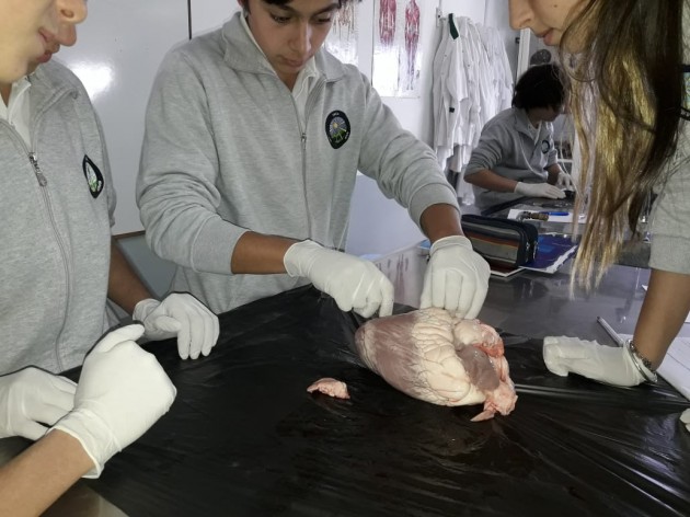 4to. ESA Prácticas en Biología 4to. ESA Prácticas en Biología