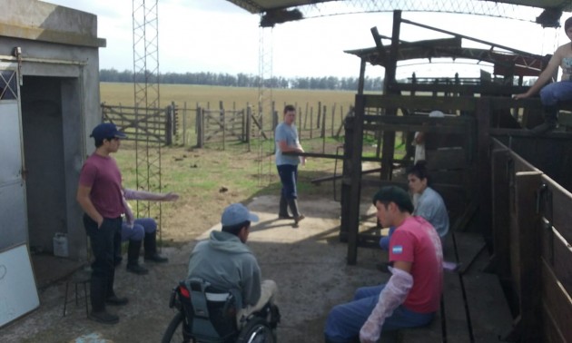 Curso de Inseminación artificial en ganado bovino Curso de Inseminación artificial en ganado bovino