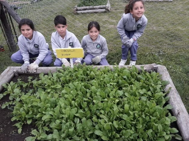 Proyecto Huerta Urbana - 4° NP Proyecto Huerta Urbana - 4° NP