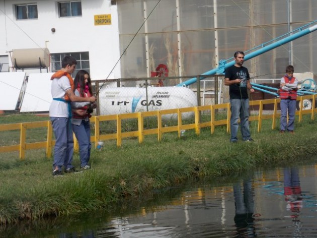 Proyecto interdisciplinario Proyecto interdisciplinario