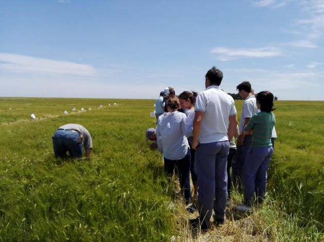 Recorrida de ensayos de fina Recorrida de ensayos de fina