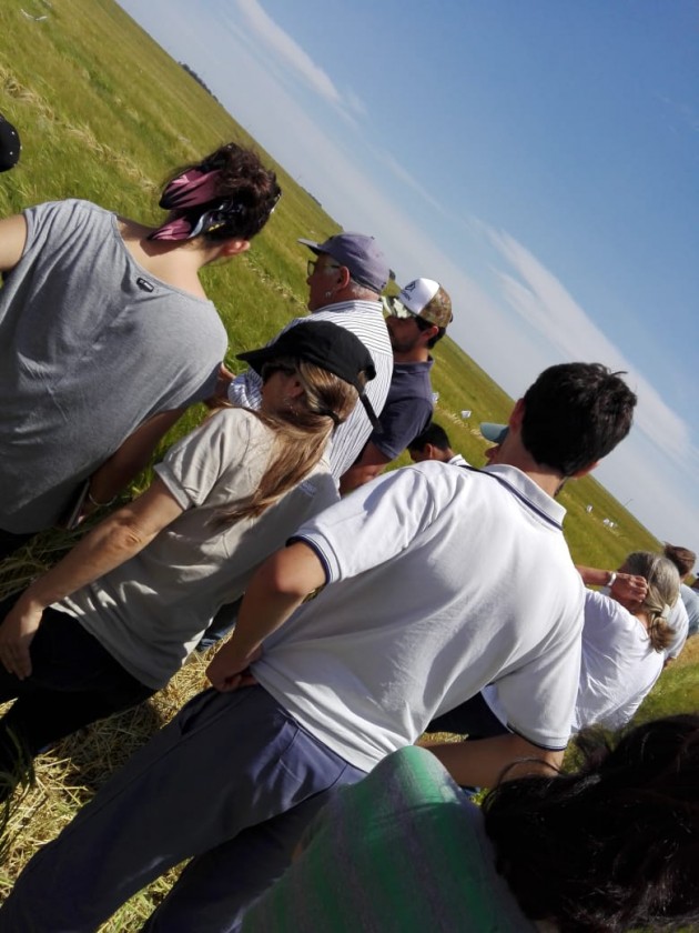 Recorrida de ensayos de fina Recorrida de ensayos de fina