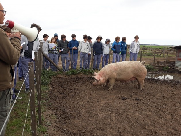 Visita a un criadero de cerdos - 3ros. ESA Visita a un criadero de cerdos - 3ros. ESA