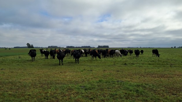 Alumnos de 5° año visitan producciones agropecuarias de la zona Alumnos de 5° año visitan producciones agropecuarias de la zona