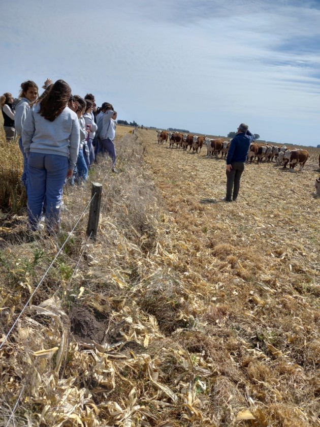 Alumnos de cuarto año visitan a la Chacra Experimental Integrada de Barrow Alumnos de cuarto año visitan a la Chacra Experimental Integrada de Barrow