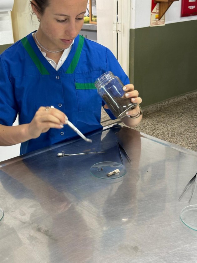 Alumnos de la EATA entre los diez finalistas en el Concurso “Los materiales y la humanidad” Alumnos de la EATA entre los diez finalistas en el Concurso “Los materiales y la humanidad”
