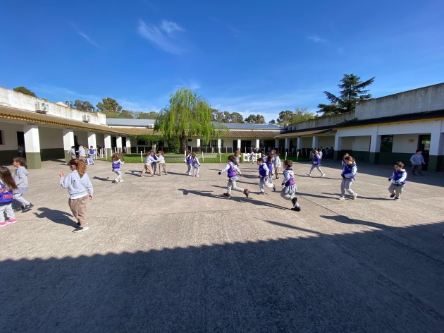 Articulación Nivel Inicial - Nivel Primario