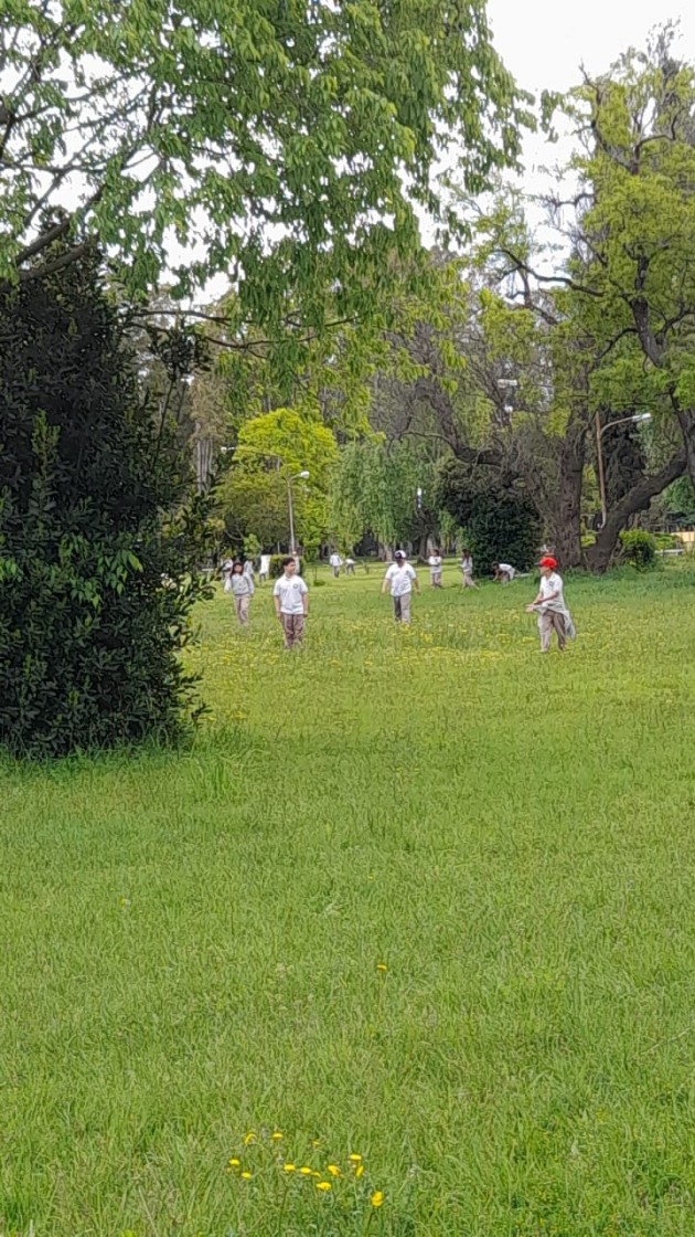 Deporte y Arte en Nivel Primario