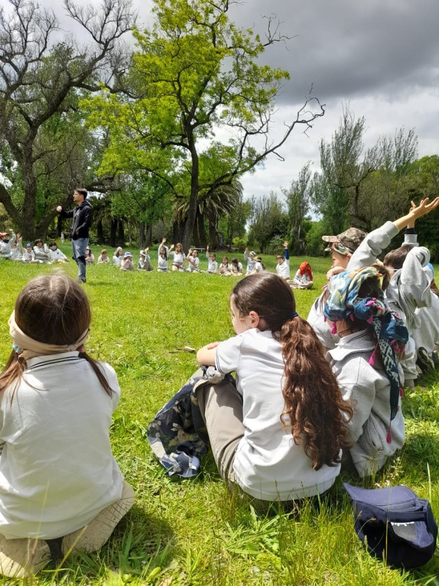 Deporte y Arte en Nivel Primario