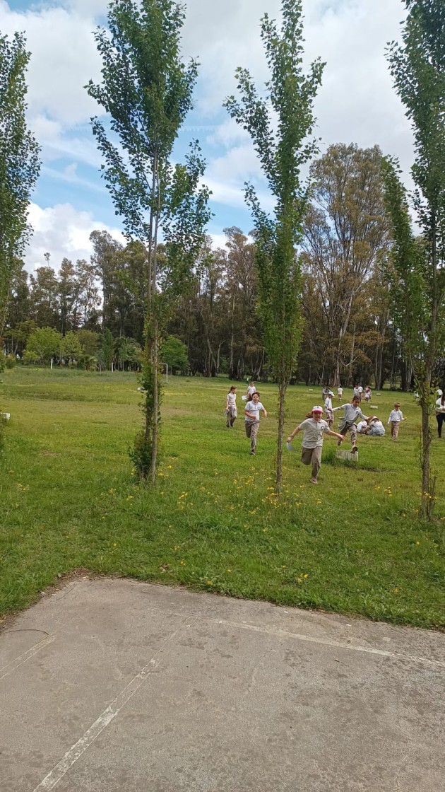 Deporte y Arte en Nivel Primario