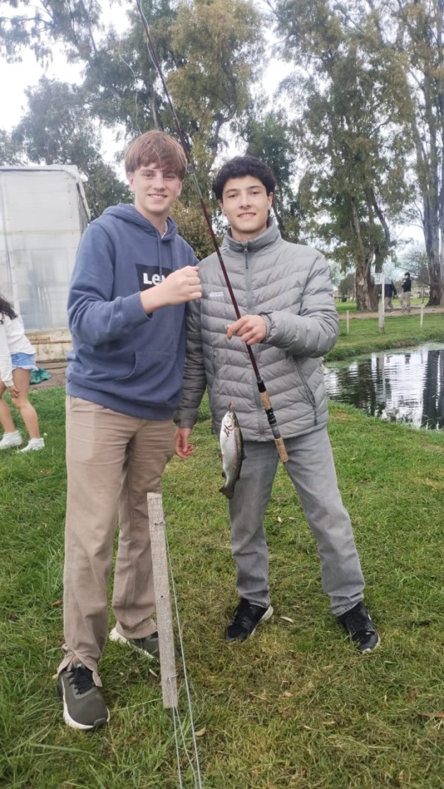 DESAFÍOS A LA CREATIVIDAD 2025 - PAÍSES