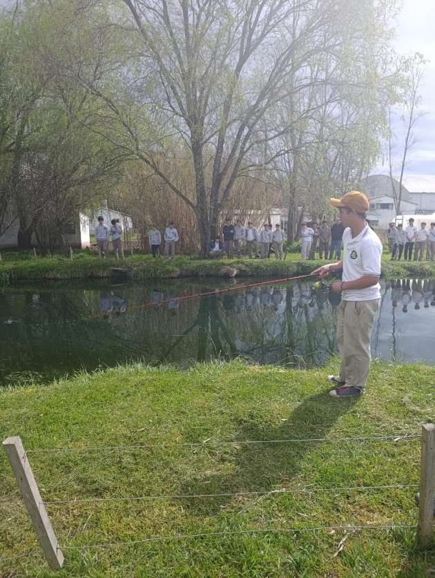 DESAFÍOS A LA CREATIVIDAD 2025 - PAÍSES