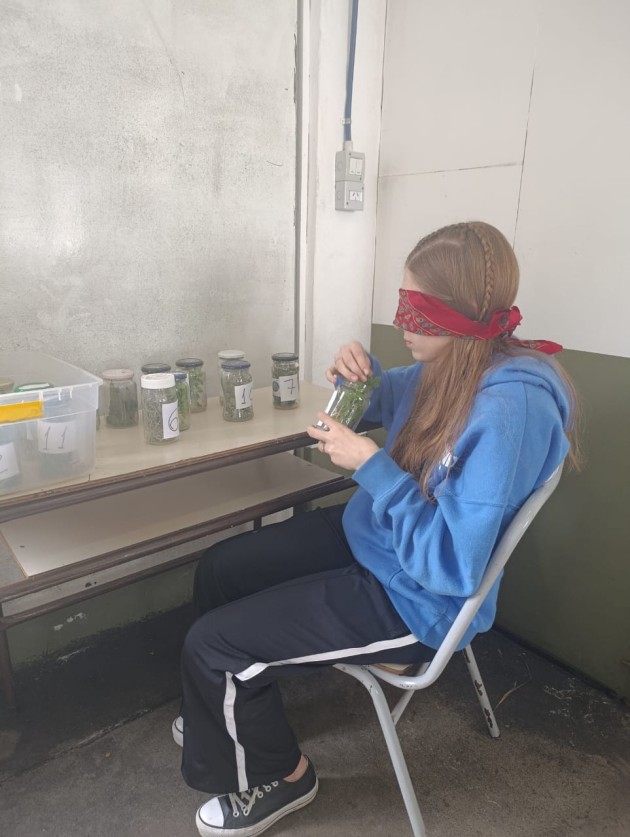 DESAFÍOS A LA CREATIVIDAD 2025 - PAÍSES