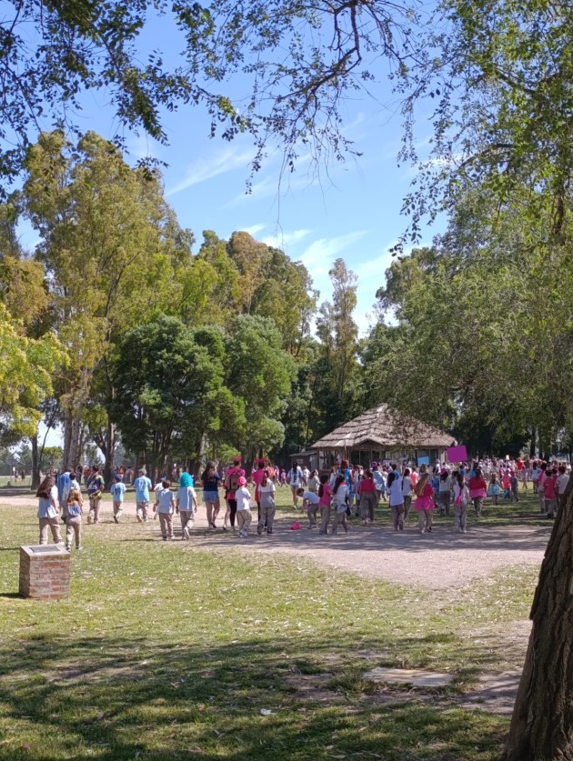 Desafíos a la Creatividad Nivel Primario 2025