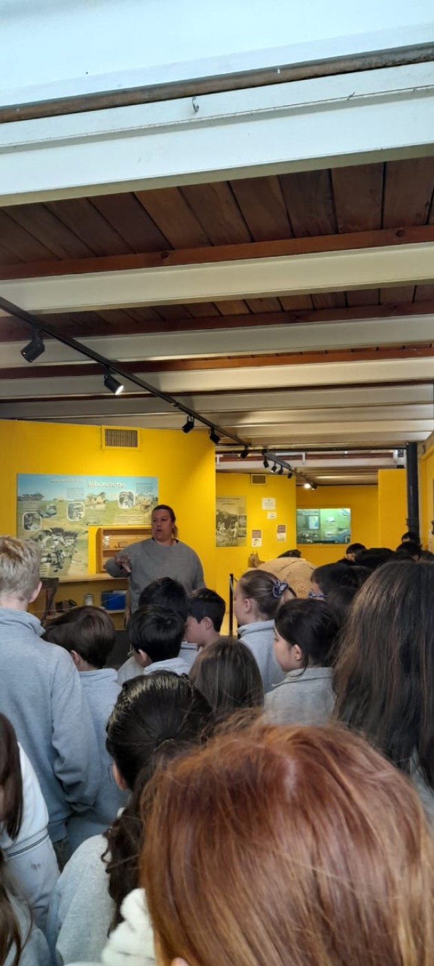 Exploración Arqueológica en el Museo Mulazzi