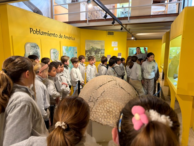 Exploración Arqueológica en el Museo Mulazzi