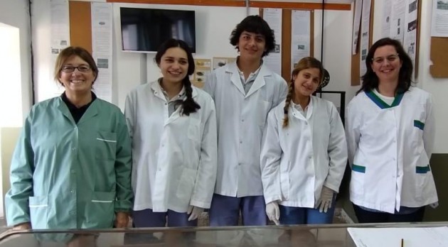 Investigación con apoyo universitario Investigación con apoyo universitario