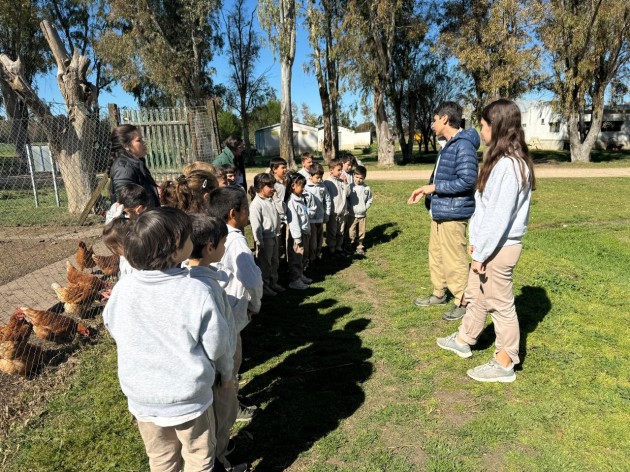 Los Alumnos Guía realizan visitas guiadas por las áreas para alumnos de nivel primario
Los Alumnos Guía realizan visitas guiadas por las áreas para alumnos de nivel primario
