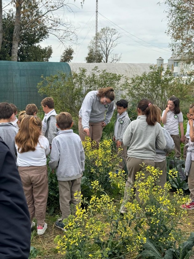 Los Alumnos Guía realizan visitas guiadas por las áreas para alumnos de nivel primario
Los Alumnos Guía realizan visitas guiadas por las áreas para alumnos de nivel primario