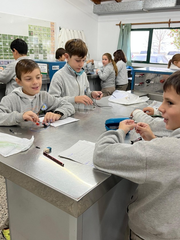 Nivel Primario genera Circuitos Eléctricos