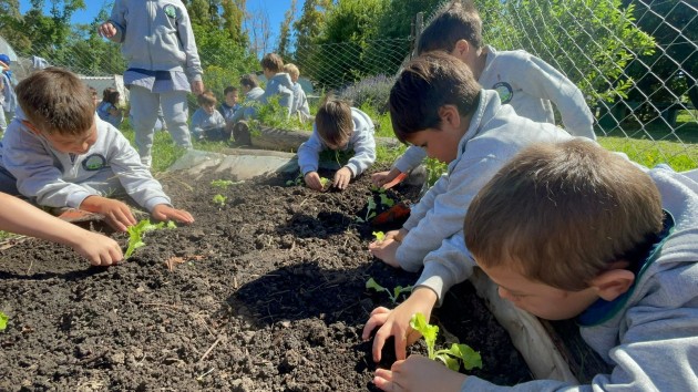 Proyecto Huerta de Nivel Inicial