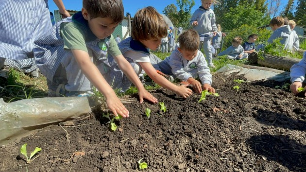 Proyecto Huerta de Nivel Inicial