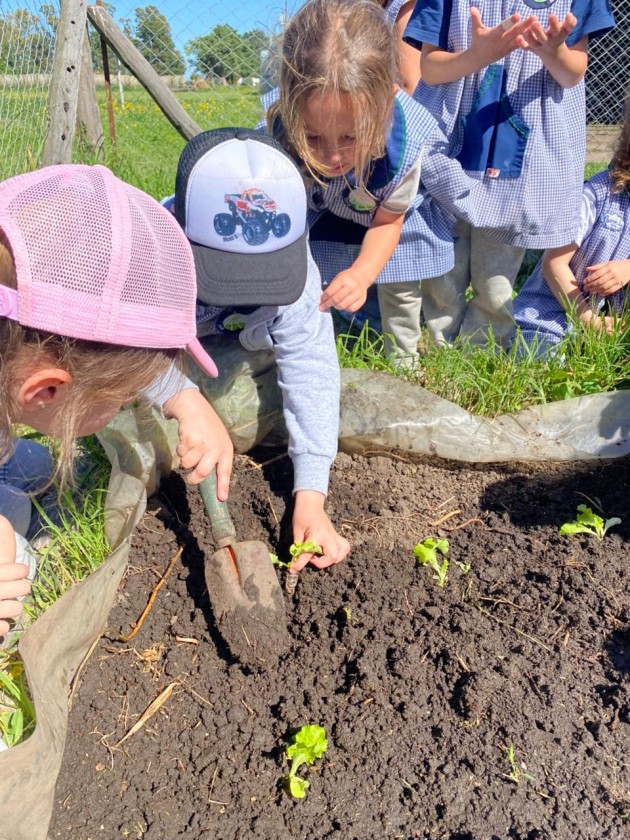 Proyecto Huerta de Nivel Inicial