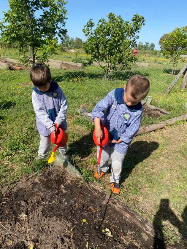 Proyecto Huerta de Nivel Inicial
