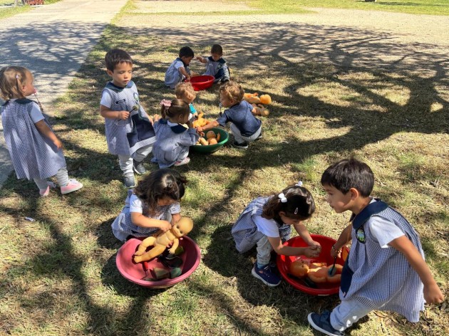 Sala de 2 año ¡en acción!