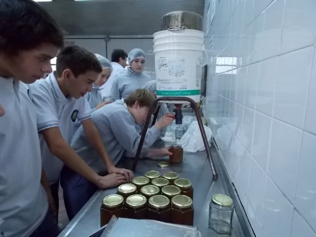 Apicultura Apicultura