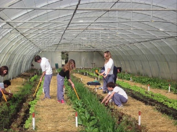 Huerta Ecológica Intensiva Huerta Ecológica Intensiva