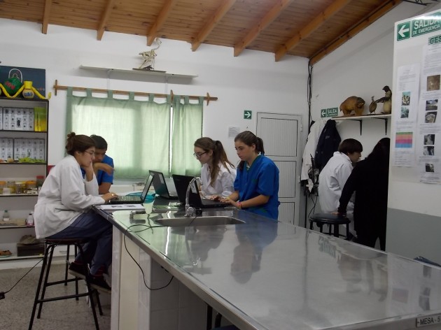 Laboratorio Laboratorio