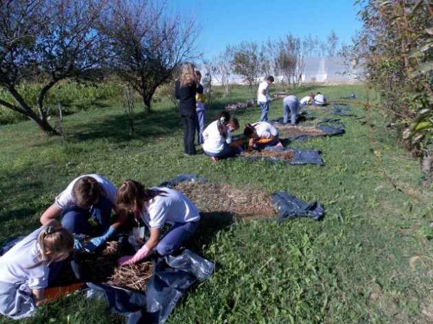 Lombricultura Lombricultura