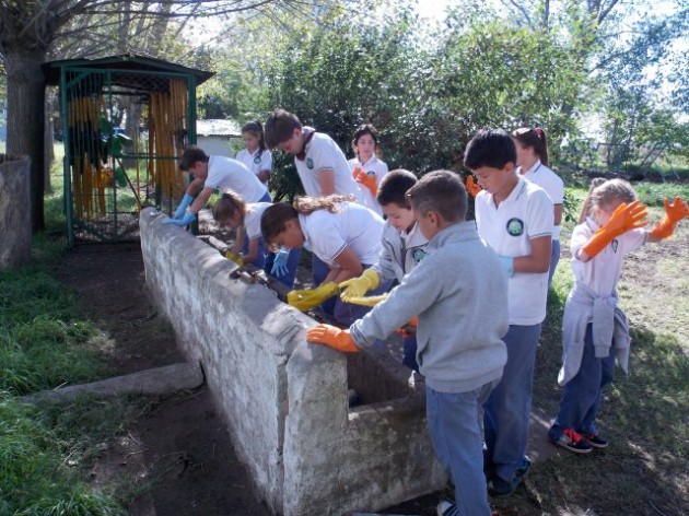 Lombricultura Lombricultura