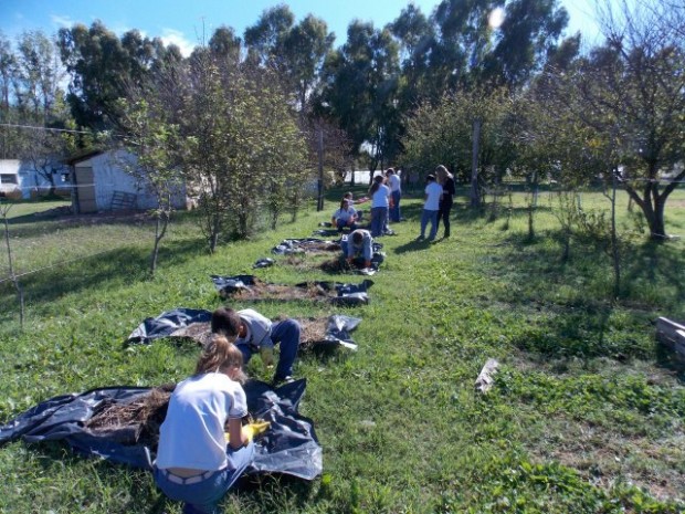 Lombricultura Lombricultura