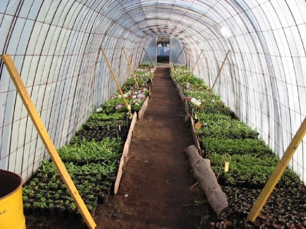 Vivero Vivero